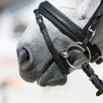 KIEFFER ULTRASOFT BRIDLE